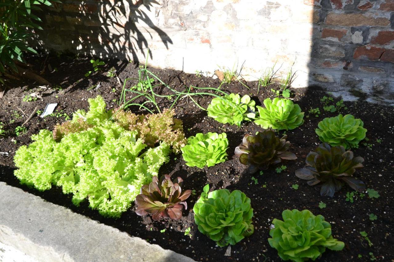 Ca' Ermina & Garden Lejlighed Venedig Eksteriør billede