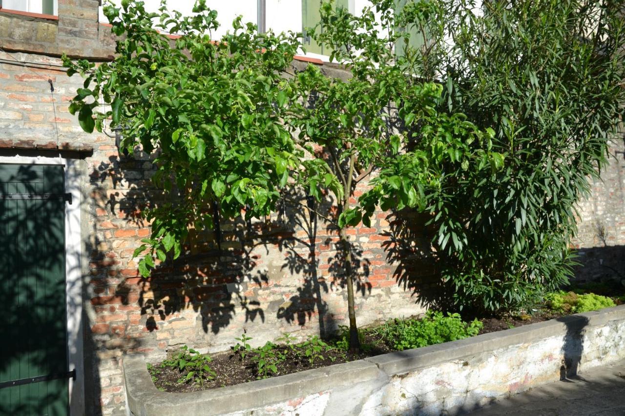 Ca' Ermina & Garden Lejlighed Venedig Eksteriør billede